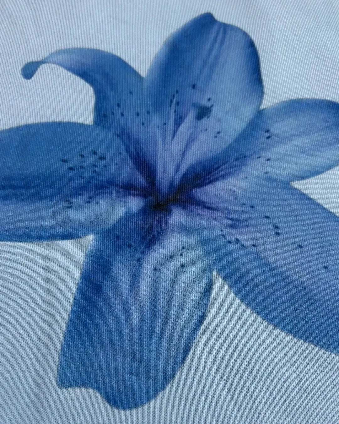 3_092a3bf0-5b13-46a0-a3cf-4e6dab3d7d62 - Urban Theory