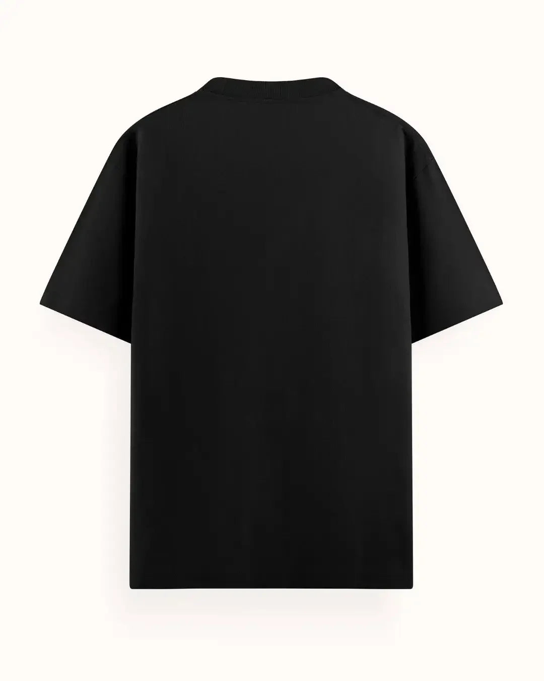स्थिर - oversized tshirt - shabd oversized tees